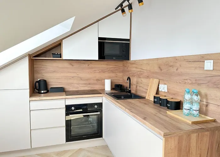 Apartment Dmk Oak Near Warsaw-modlin Airport Nowy Dwor Mazowiecki